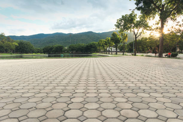 Best Custom Driveway Pavers  in Germantown, IL